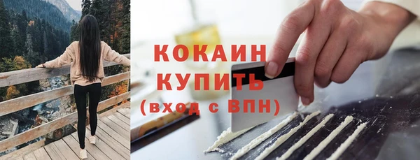 тгк Мегион