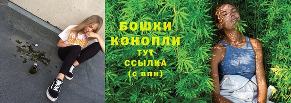 прущие крисы Магас