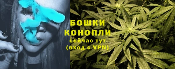 скорость Медвежьегорск
