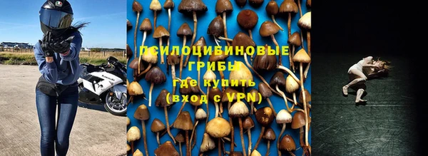 прущие крисы Магас