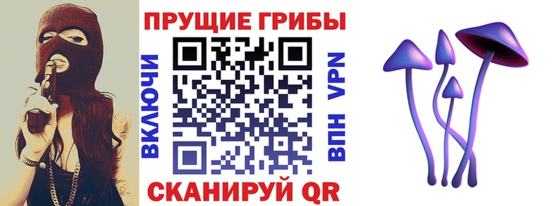 как найти   Кириллов  Псилоцибиновые грибы MAGIC MUSHROOMS 