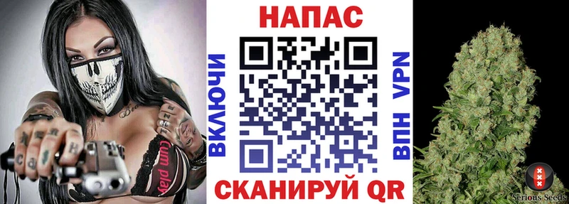 Шишки марихуана сатива Кириллов